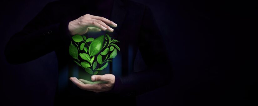 The Growing Importance of ESG Reporting and Assurance